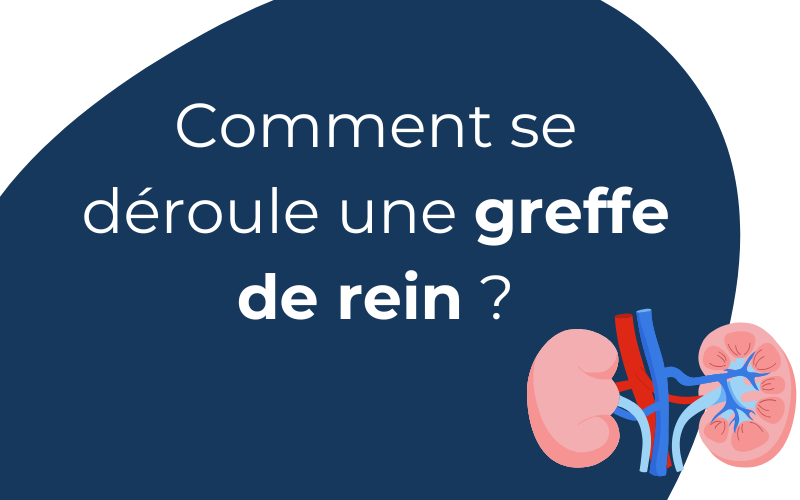 Comment se déroule une greffe de rein