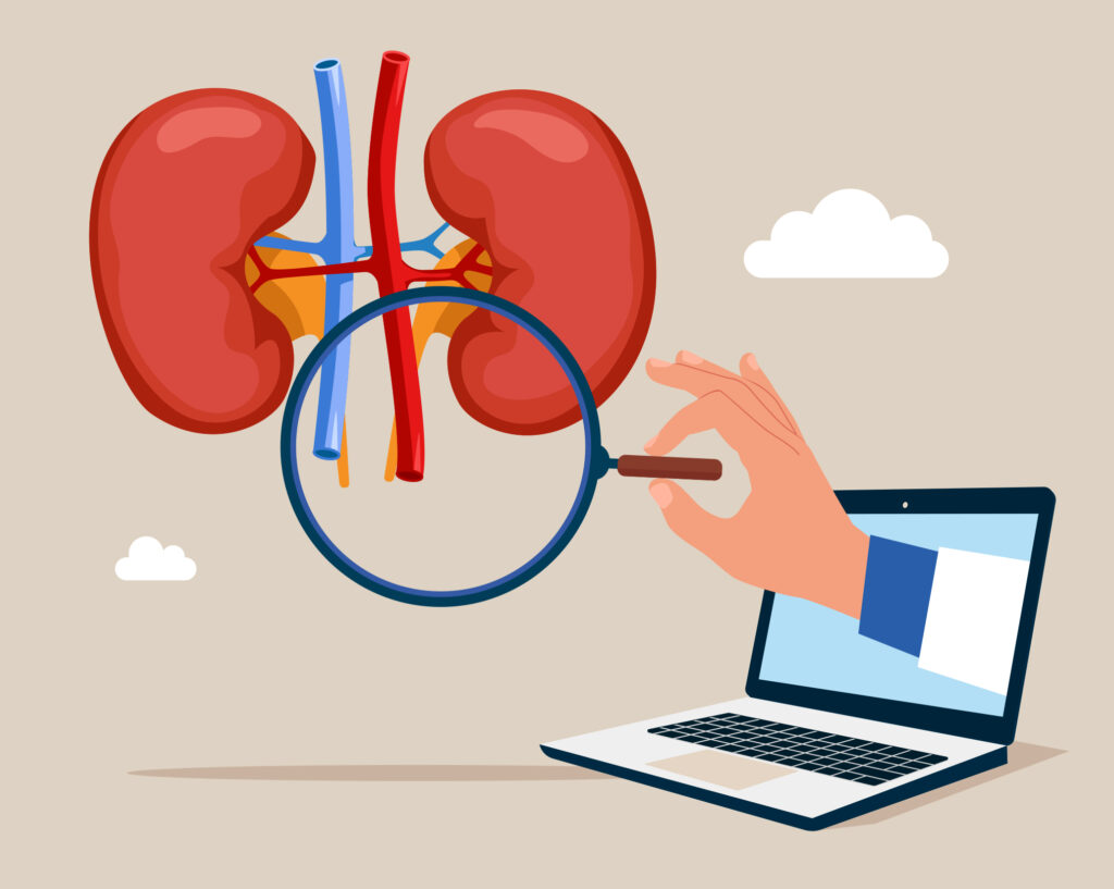 Comment se déroule une téléconsultation en néphrologie ?