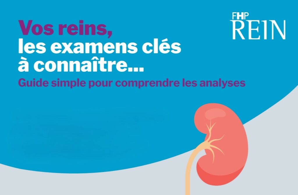 Vos reins, les examens clés à connaître - Infographie